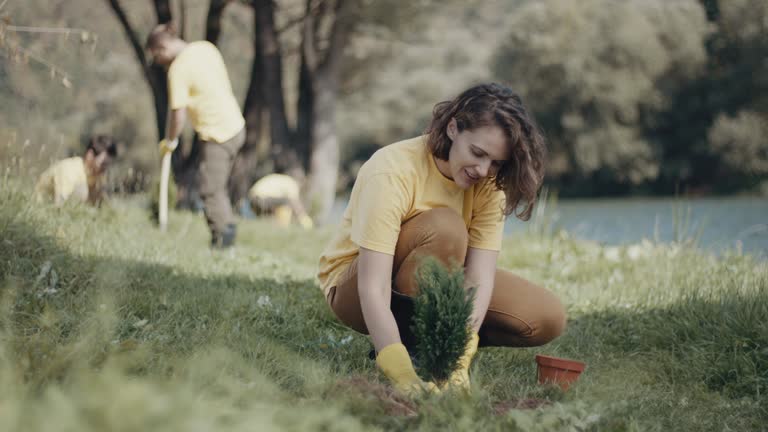 Best Lawn Mowing  in Lewiston, MN